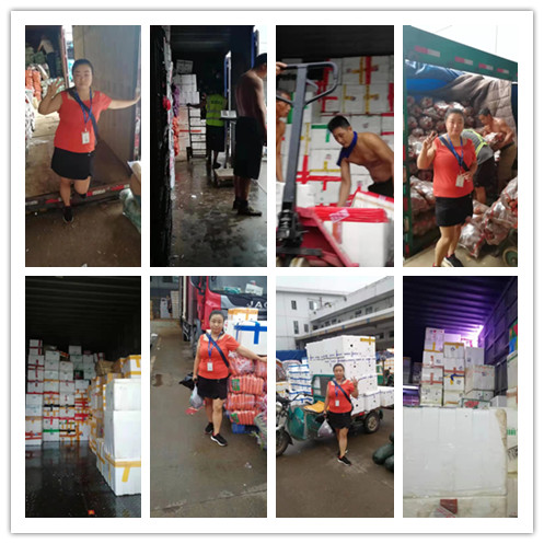 首页- 新宝GG集团创造事业平台