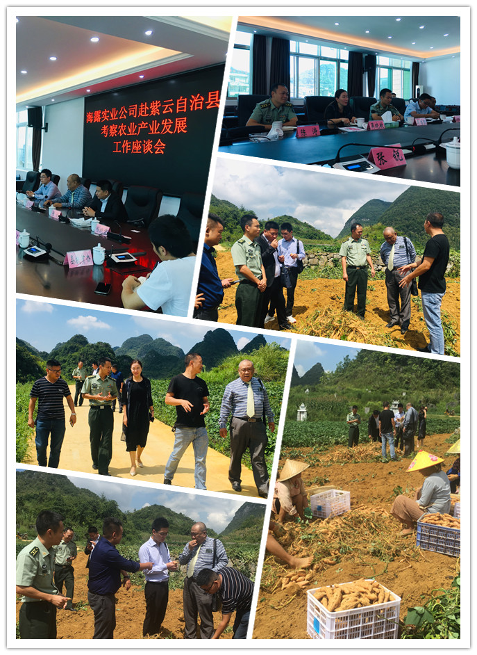 首页- 新宝GG集团创造事业平台