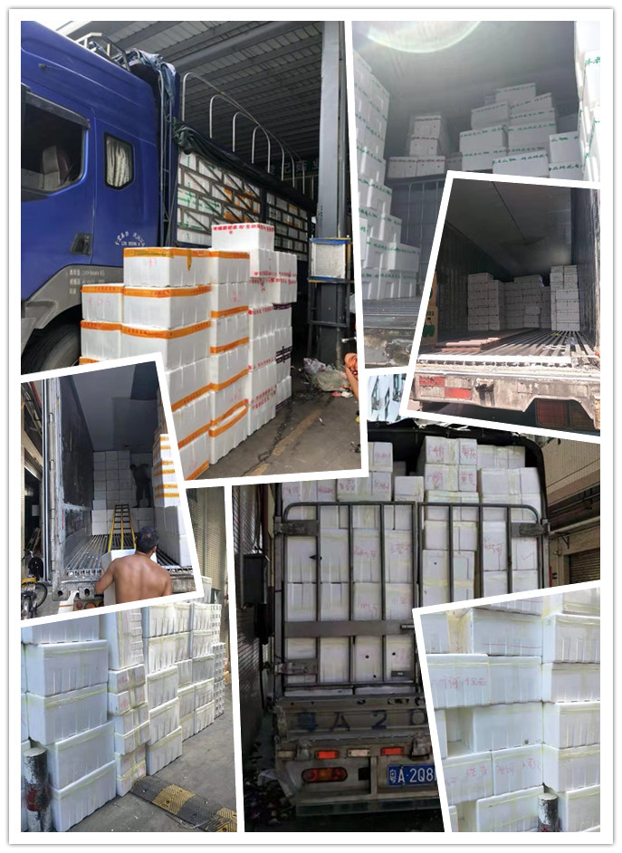 首页- 新宝GG集团创造事业平台