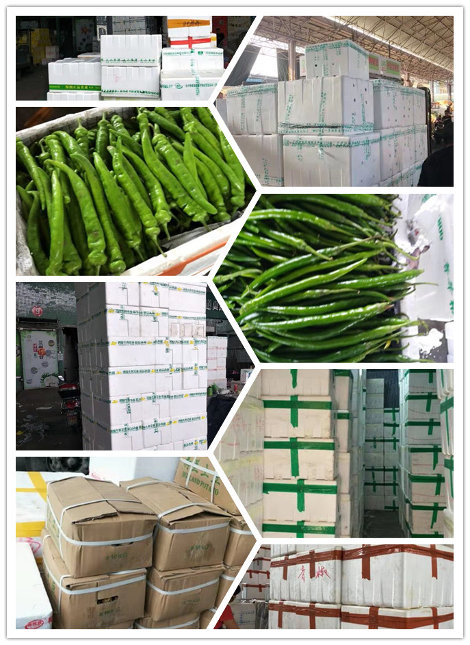 首页- 新宝GG集团创造事业平台