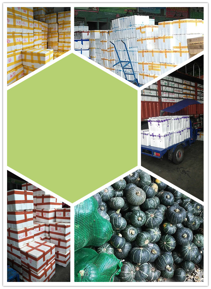 首页- 新宝GG集团创造事业平台