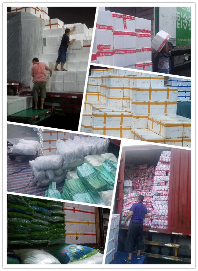 首页- 新宝GG集团创造事业平台