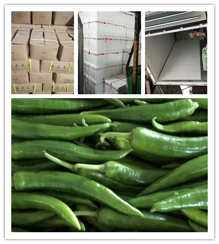 首页- 新宝GG集团创造事业平台