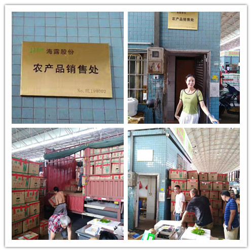 首页- 新宝GG集团创造事业平台