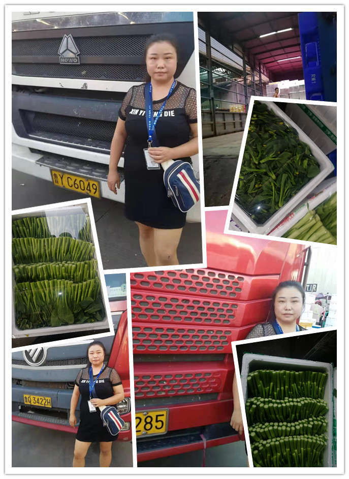 首页- 新宝GG集团创造事业平台