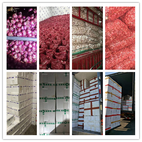 首页- 新宝GG集团创造事业平台