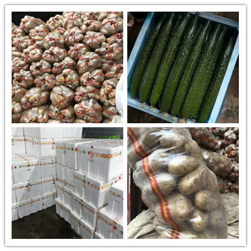 首页- 新宝GG集团创造事业平台