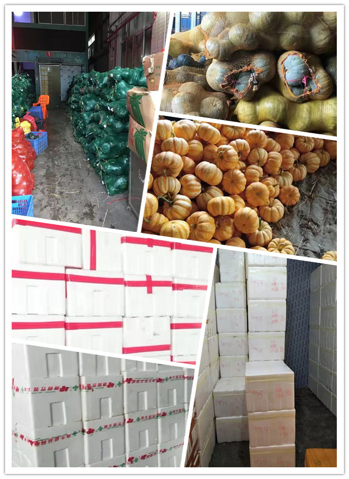 首页- 新宝GG集团创造事业平台