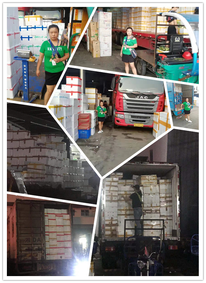 首页- 新宝GG集团创造事业平台