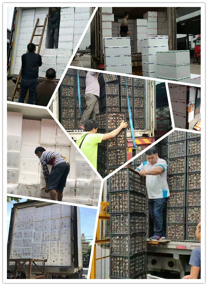 首页- 新宝GG集团创造事业平台