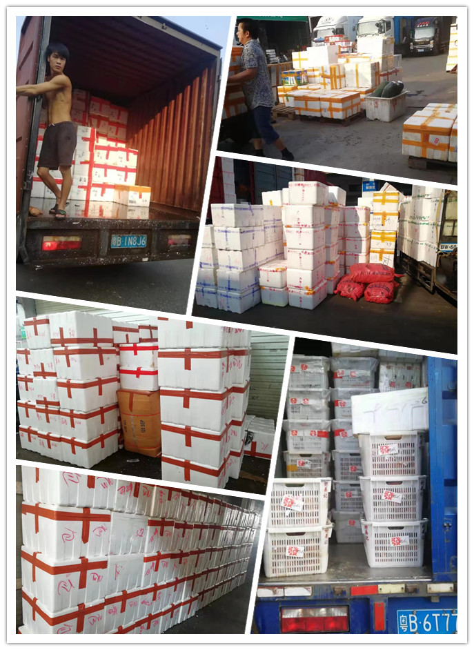 首页- 新宝GG集团创造事业平台