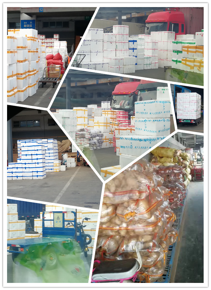 首页- 新宝GG集团创造事业平台