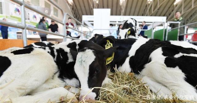 首页- 新宝GG集团创造事业平台