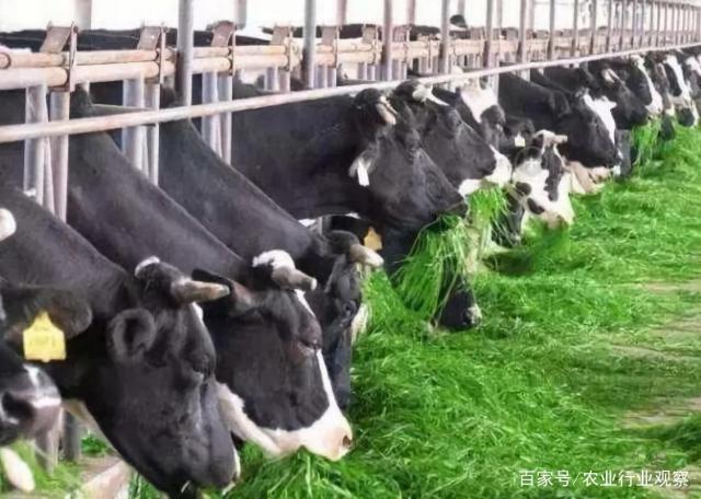 首页- 新宝GG集团创造事业平台