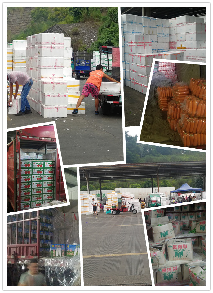 首页- 新宝GG集团创造事业平台