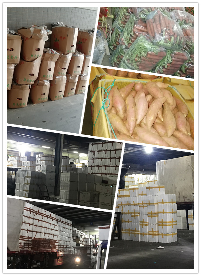 首页- 新宝GG集团创造事业平台