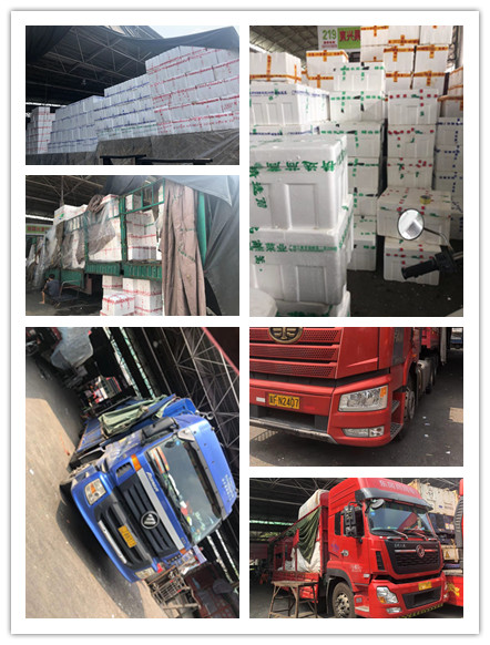 首页- 新宝GG集团创造事业平台