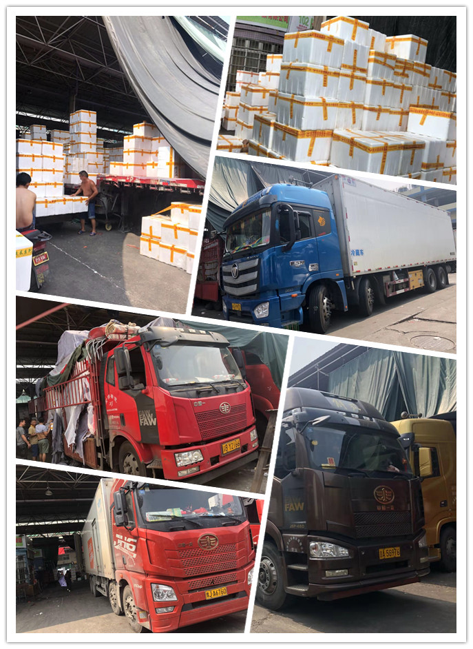 首页- 新宝GG集团创造事业平台