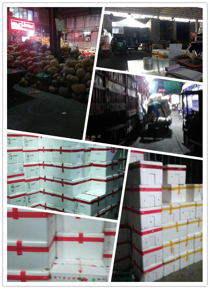 首页- 新宝GG集团创造事业平台