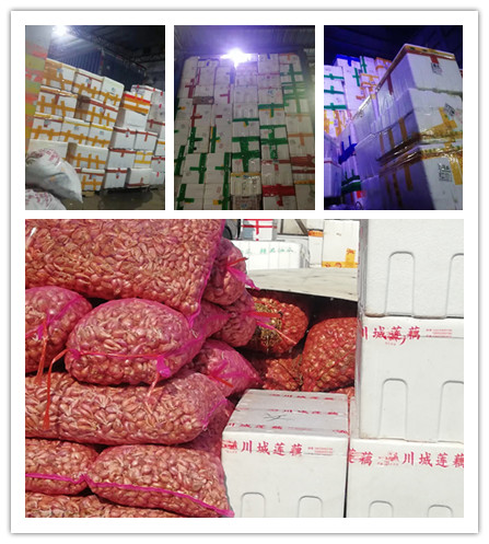 首页- 新宝GG集团创造事业平台