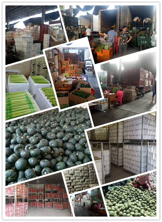 首页- 新宝GG集团创造事业平台