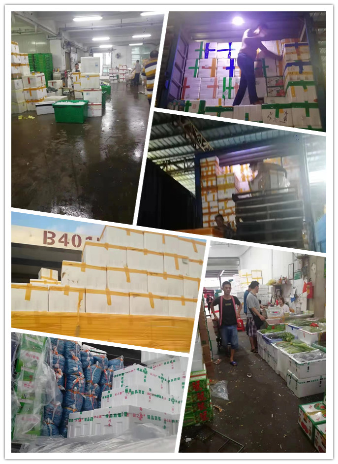 首页- 新宝GG集团创造事业平台