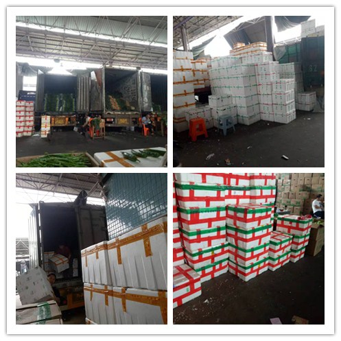 首页- 新宝GG集团创造事业平台