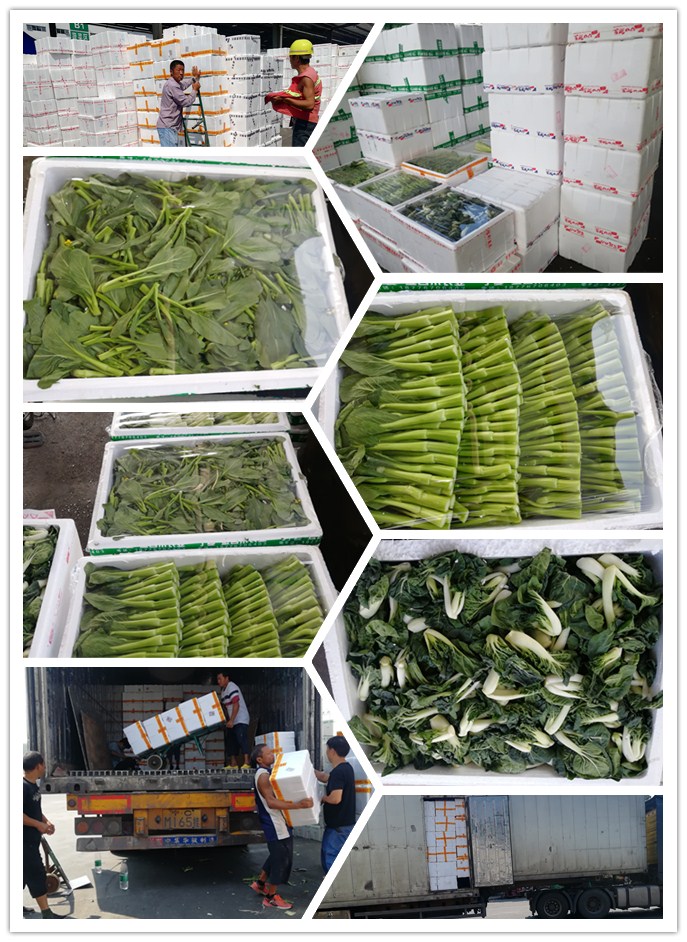 首页- 新宝GG集团创造事业平台