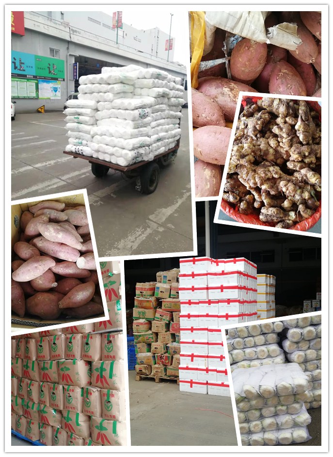 首页- 新宝GG集团创造事业平台