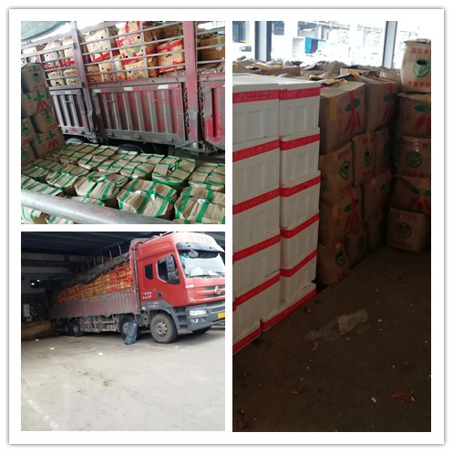 首页- 新宝GG集团创造事业平台