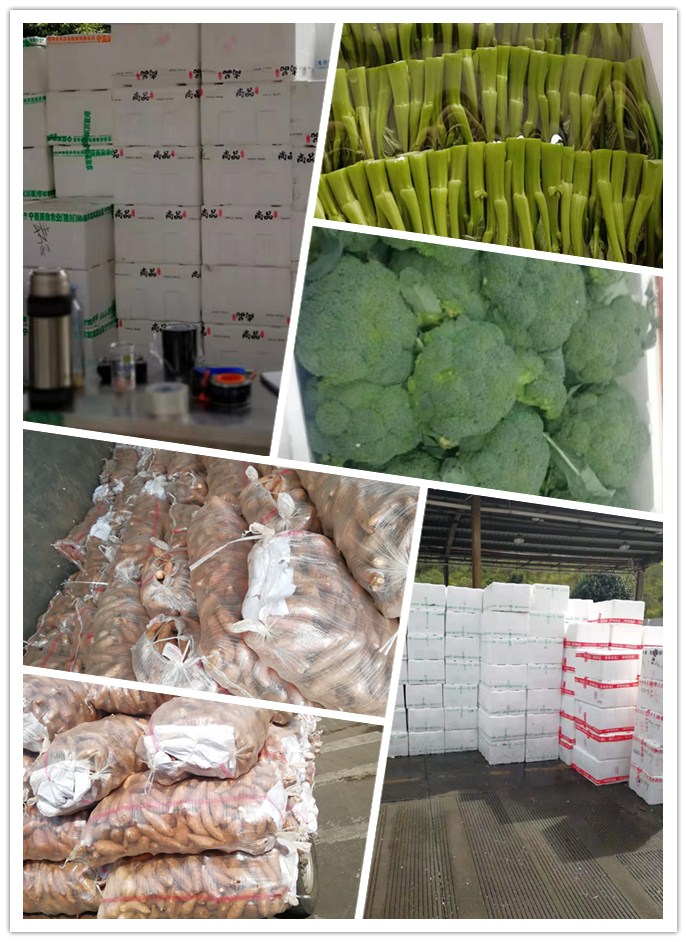 首页- 新宝GG集团创造事业平台