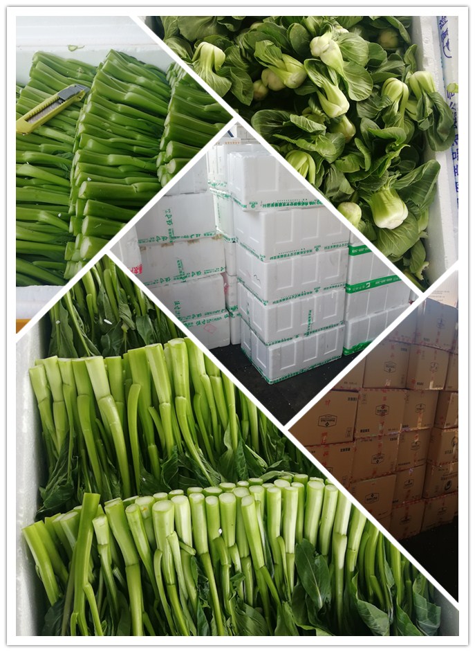 首页- 新宝GG集团创造事业平台