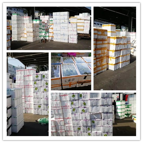 首页- 新宝GG集团创造事业平台