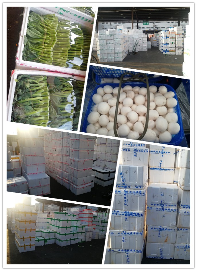 首页- 新宝GG集团创造事业平台