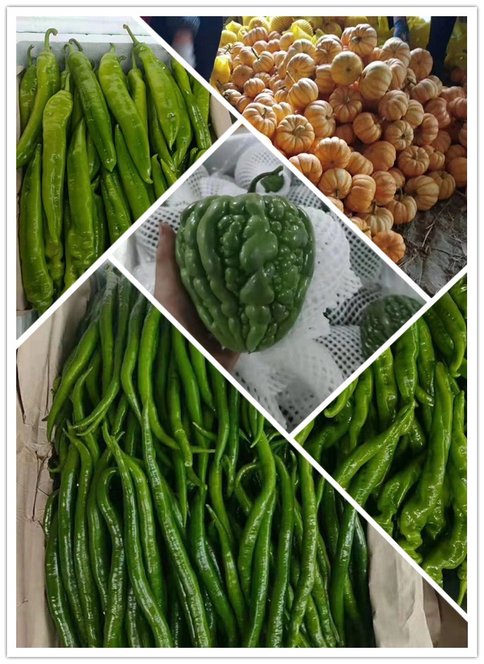 首页- 新宝GG集团创造事业平台