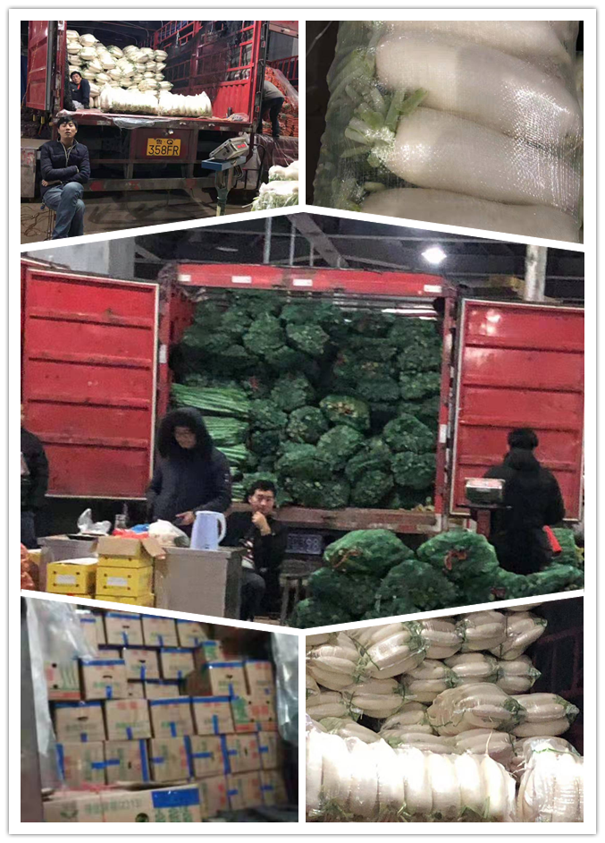 首页- 新宝GG集团创造事业平台