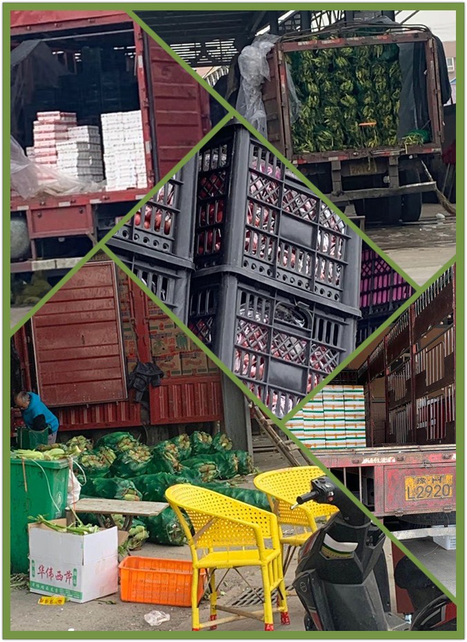 首页- 新宝GG集团创造事业平台