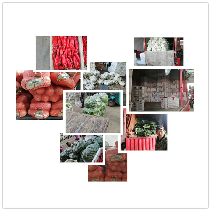 首页- 新宝GG集团创造事业平台