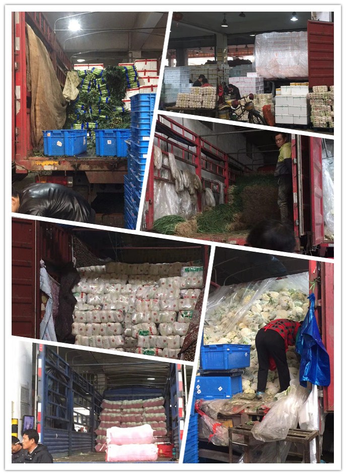 首页- 新宝GG集团创造事业平台