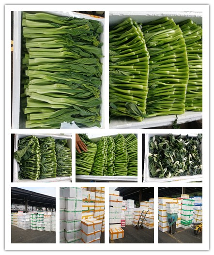 首页- 新宝GG集团创造事业平台