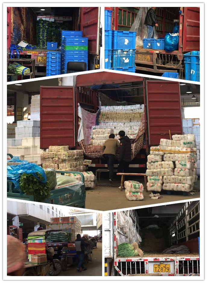 首页- 新宝GG集团创造事业平台