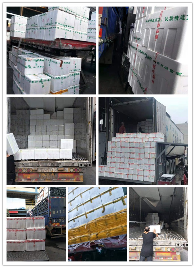 首页- 新宝GG集团创造事业平台