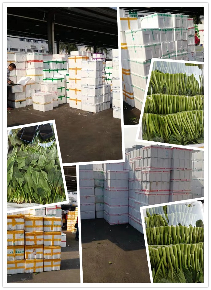 首页- 新宝GG集团创造事业平台