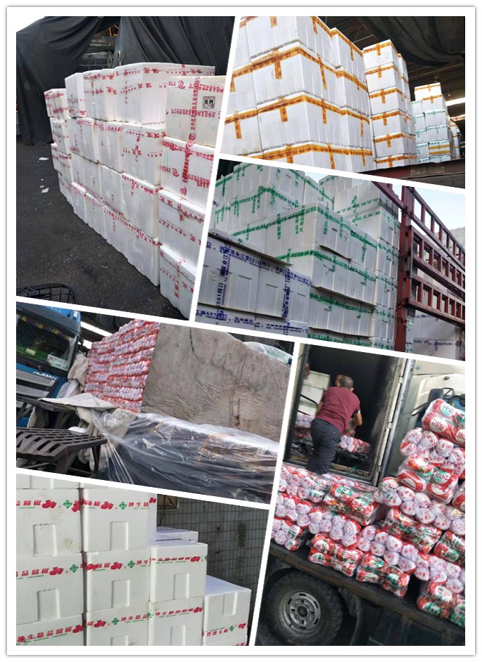 首页- 新宝GG集团创造事业平台