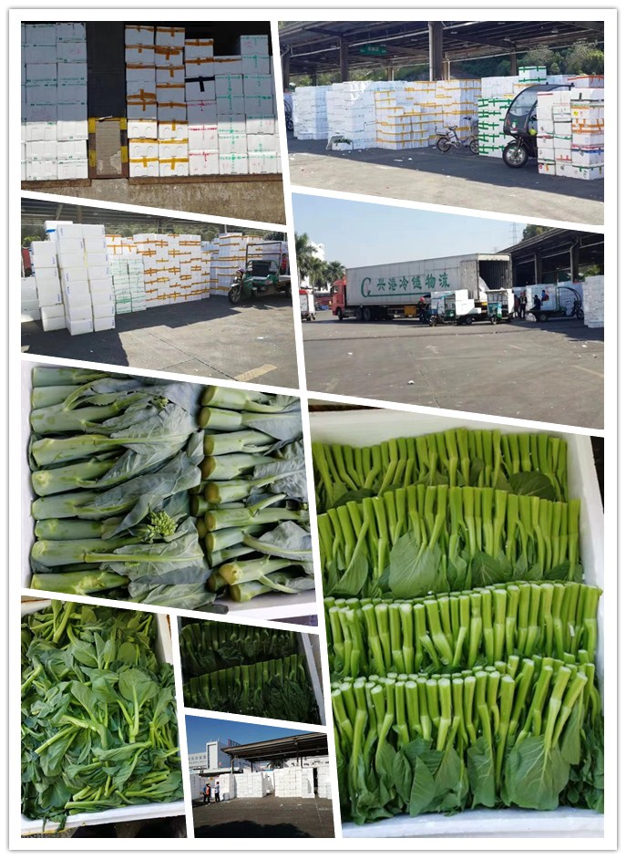 首页- 新宝GG集团创造事业平台