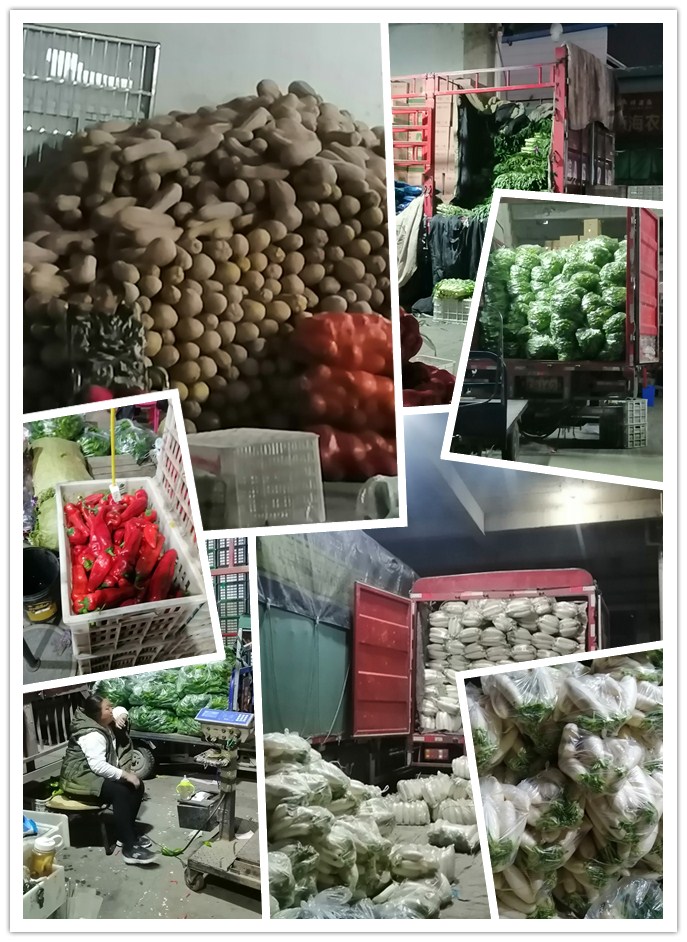 首页- 新宝GG集团创造事业平台