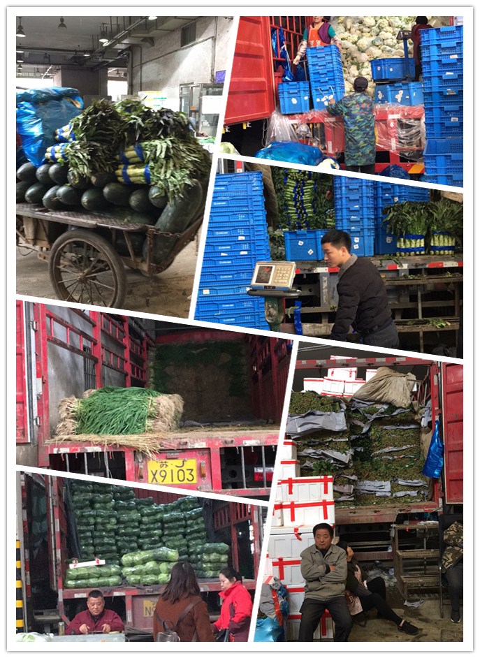 首页- 新宝GG集团创造事业平台