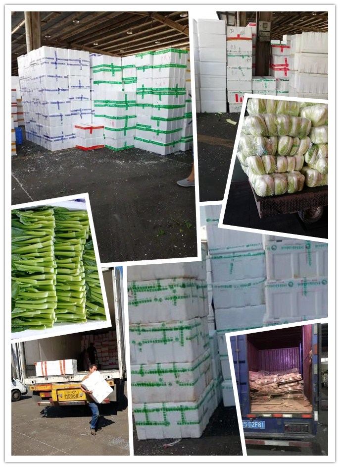 首页- 新宝GG集团创造事业平台