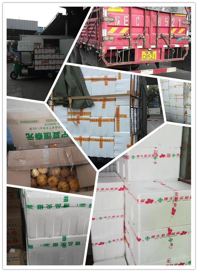 首页- 新宝GG集团创造事业平台