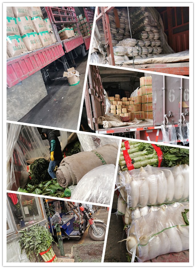 首页- 新宝GG集团创造事业平台